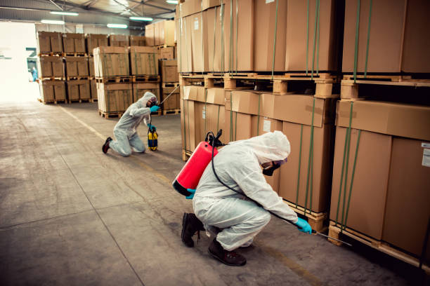 Best Wildlife Control Services  in Pine Island, MN