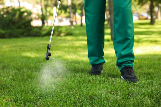 Best Flea Control Services  in Pine Island, MN