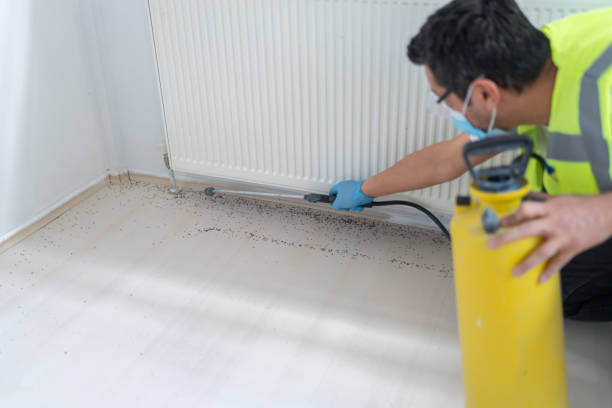 Best Wasp Removal Services  in Pine Island, MN