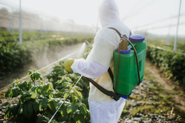Best Pest Control Near Me  in Pine Island, MN